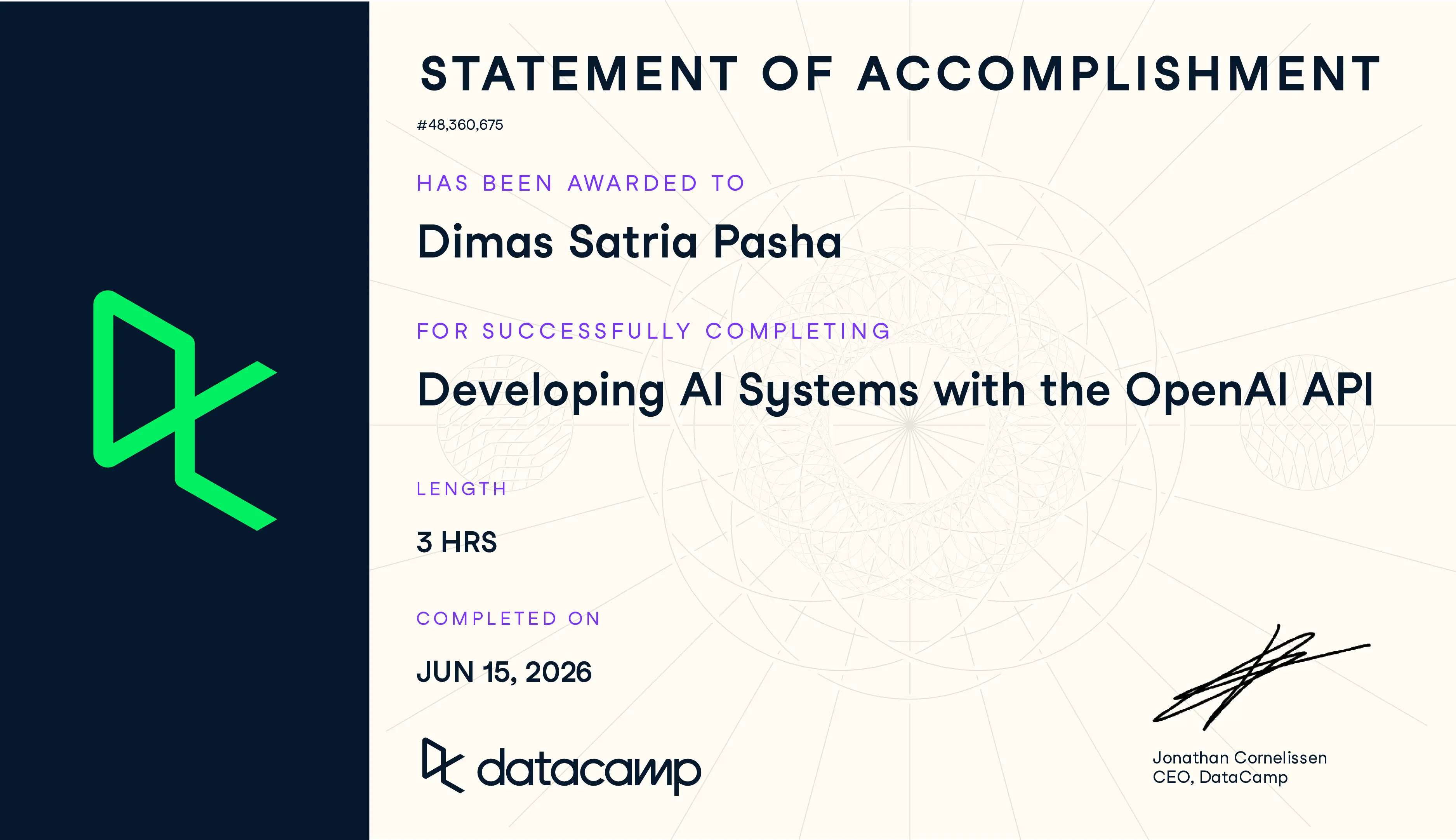 Developing AI Systems